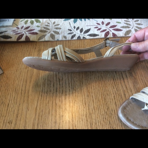 Shoes (new, never worn) - Picture 2 of 3